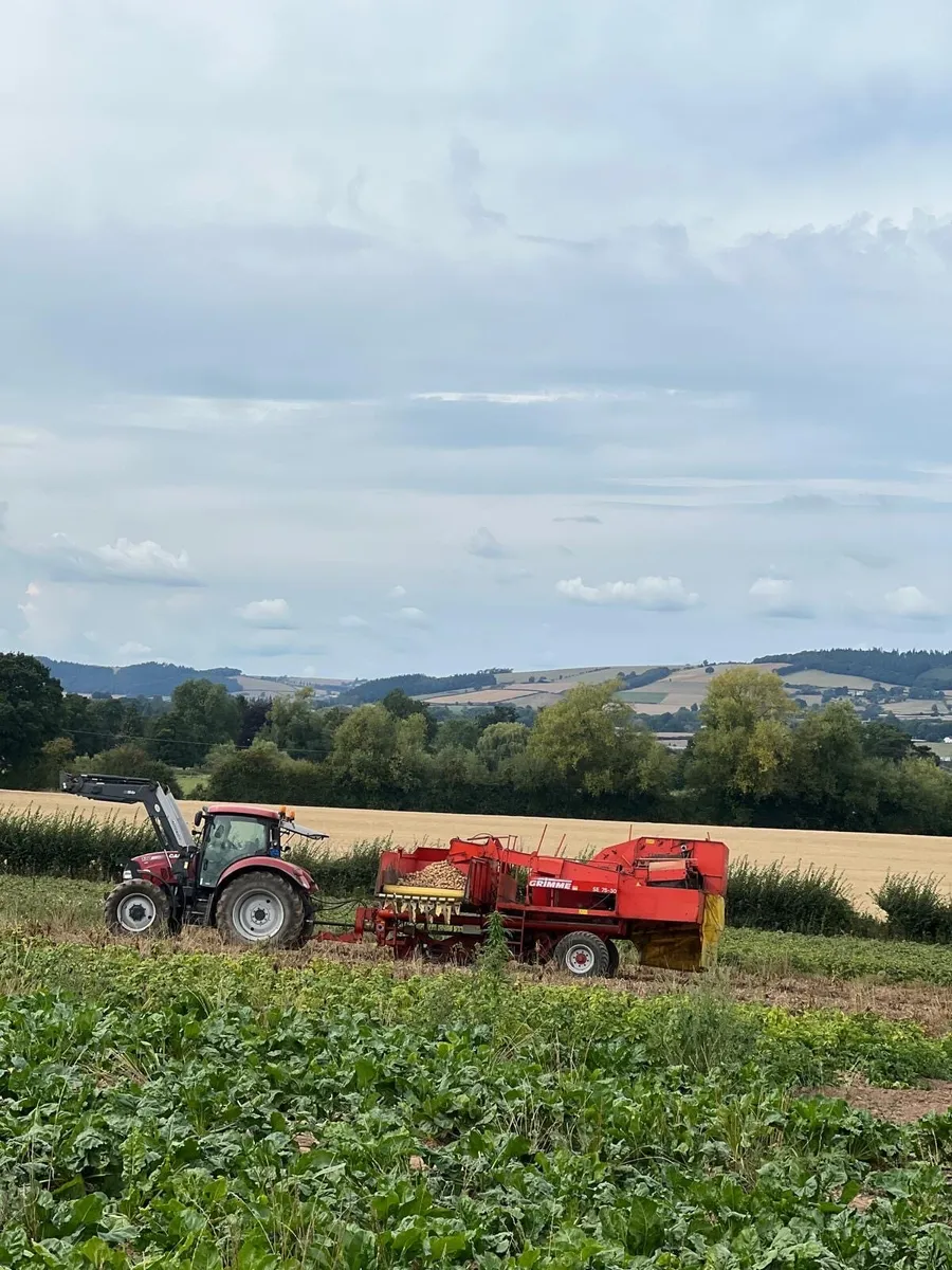 Grimme SE75.30 - Image 1