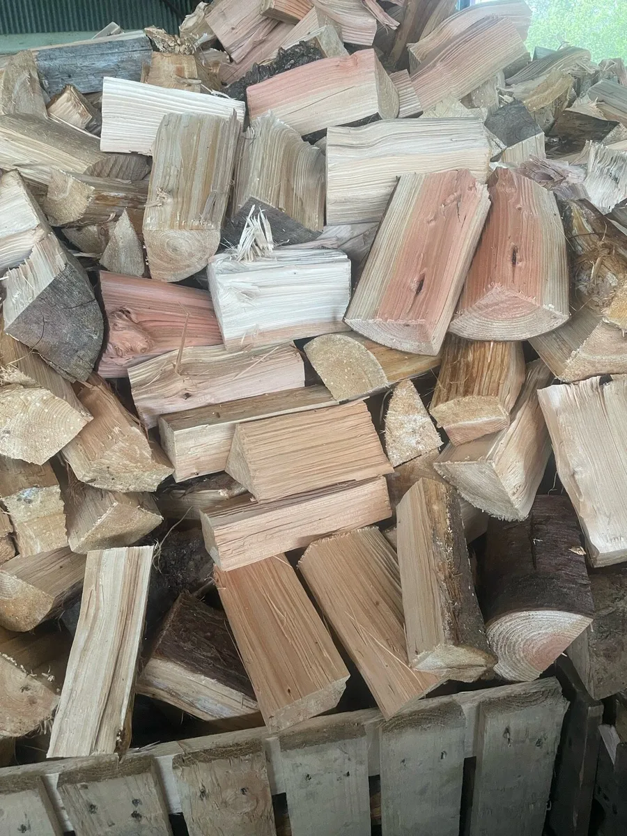 Firewood - Image 2