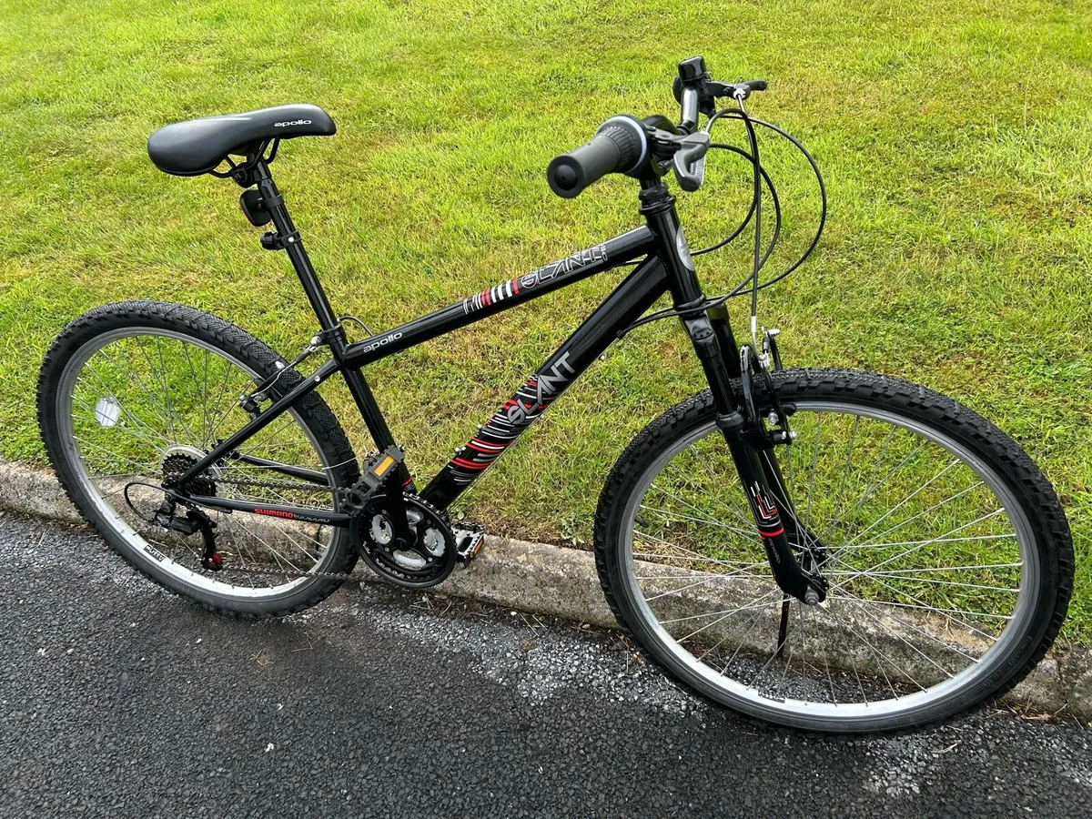 Mountain Bike - Image 1