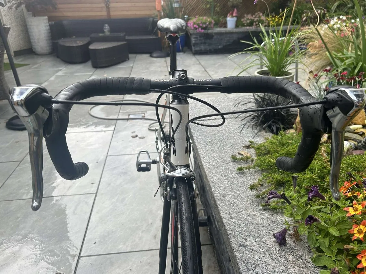 SPR Race Ace Road Bike - Image 2