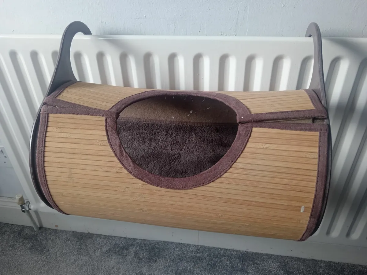Cat radiator bed