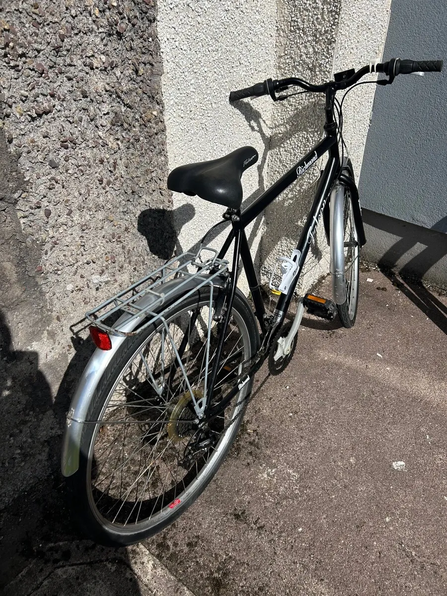 Ridge back hybrid lightweight & Facon city - Image 2