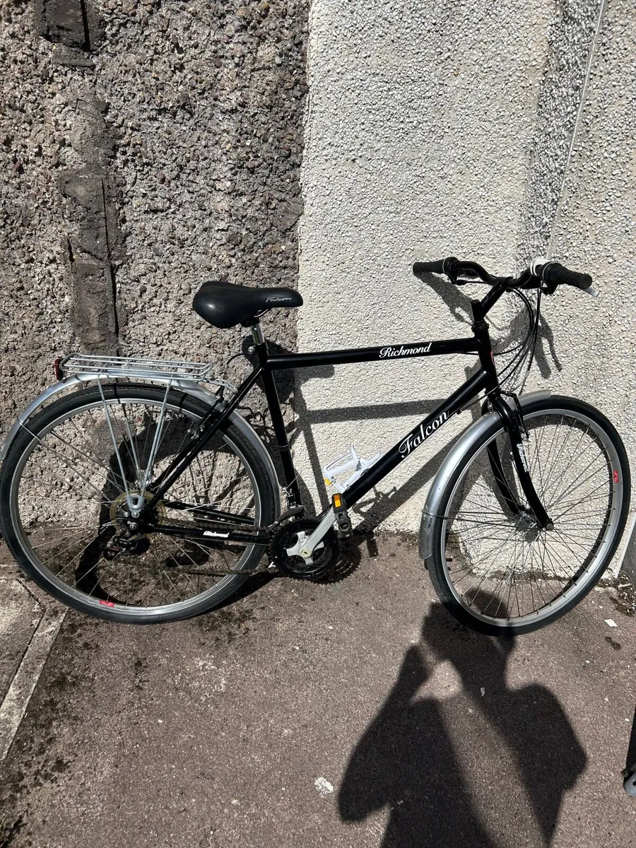 Ridge back hybrid lightweight & Facon city - Image 4