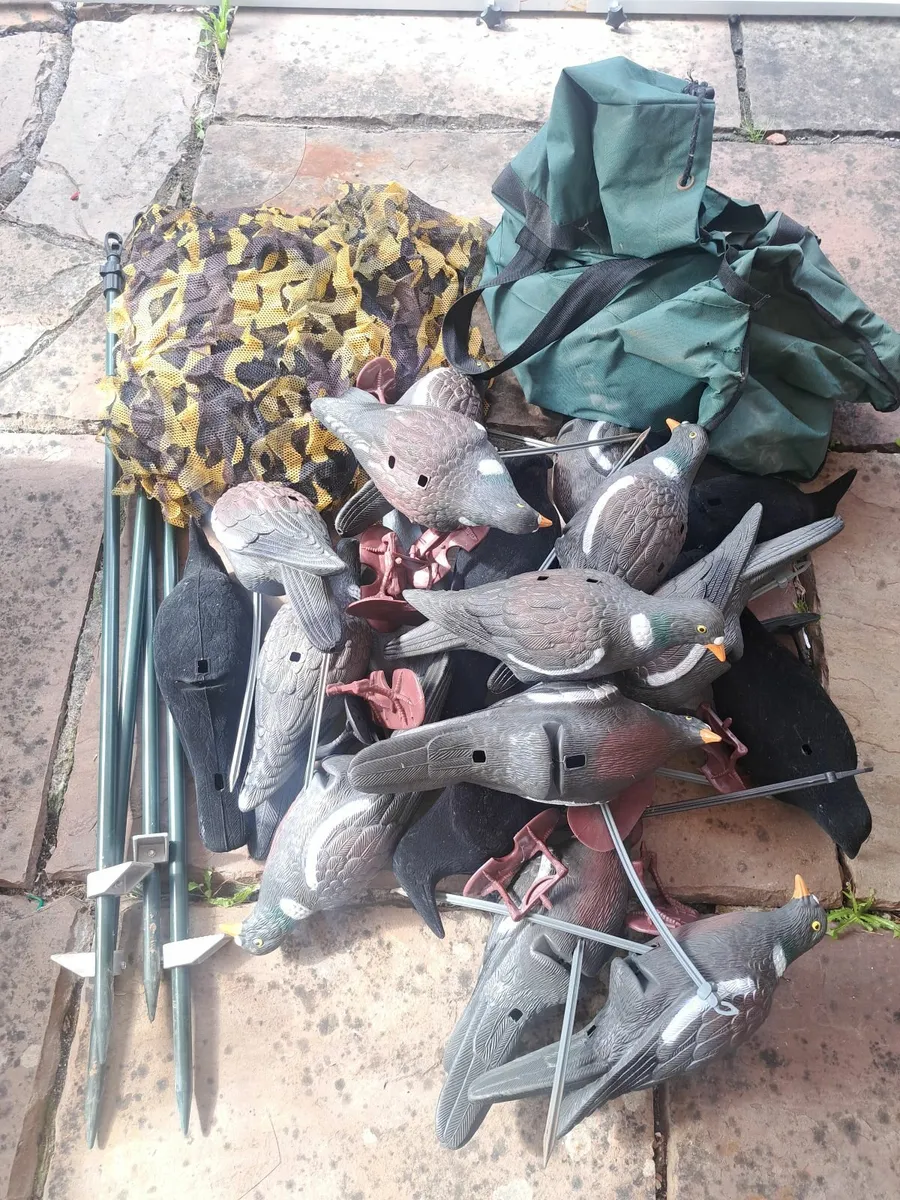 Decoys