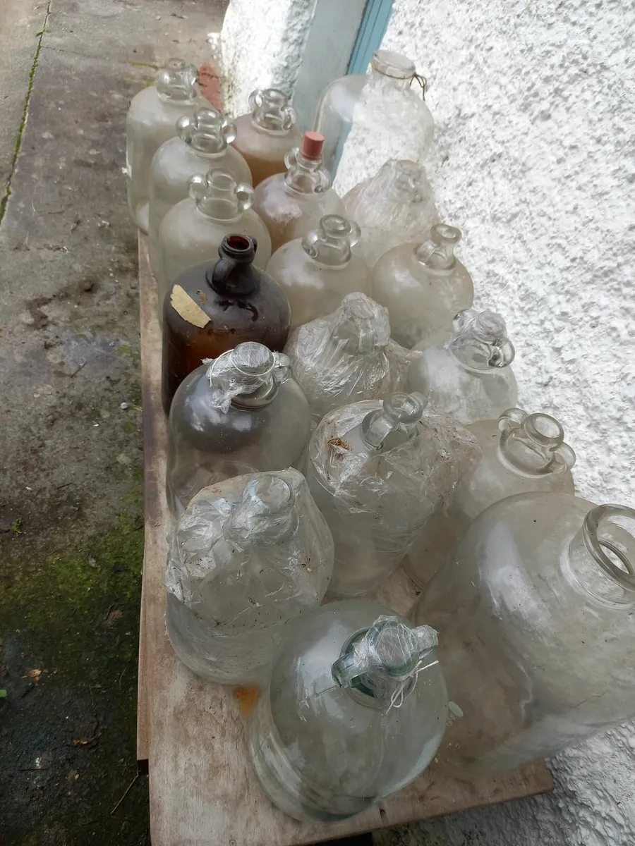 DemiJohns x 16 and Carboys x 2 - Image 2