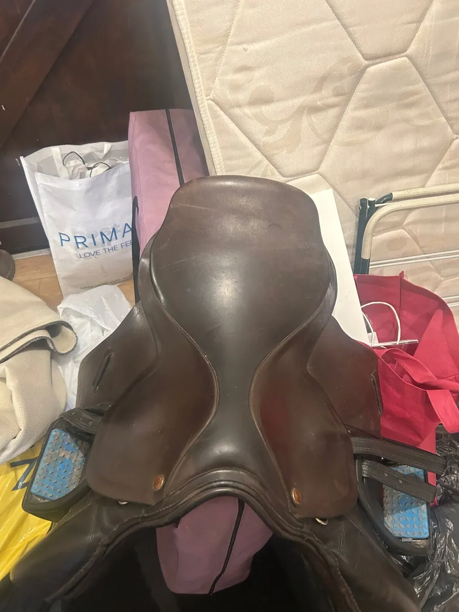 Saddle - Image 2