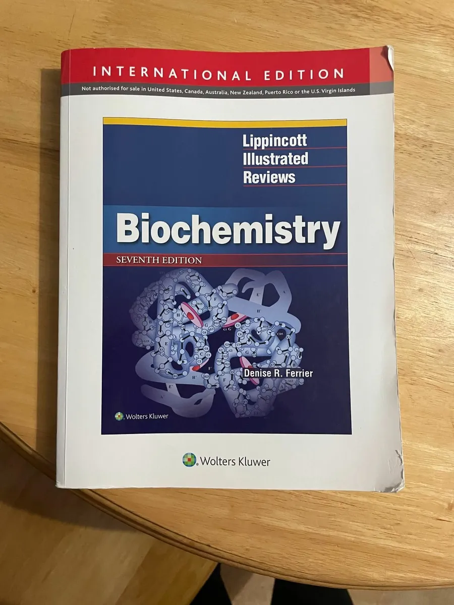 Gray's Anatomy and Lipincotts Medical Textbooks - Image 2