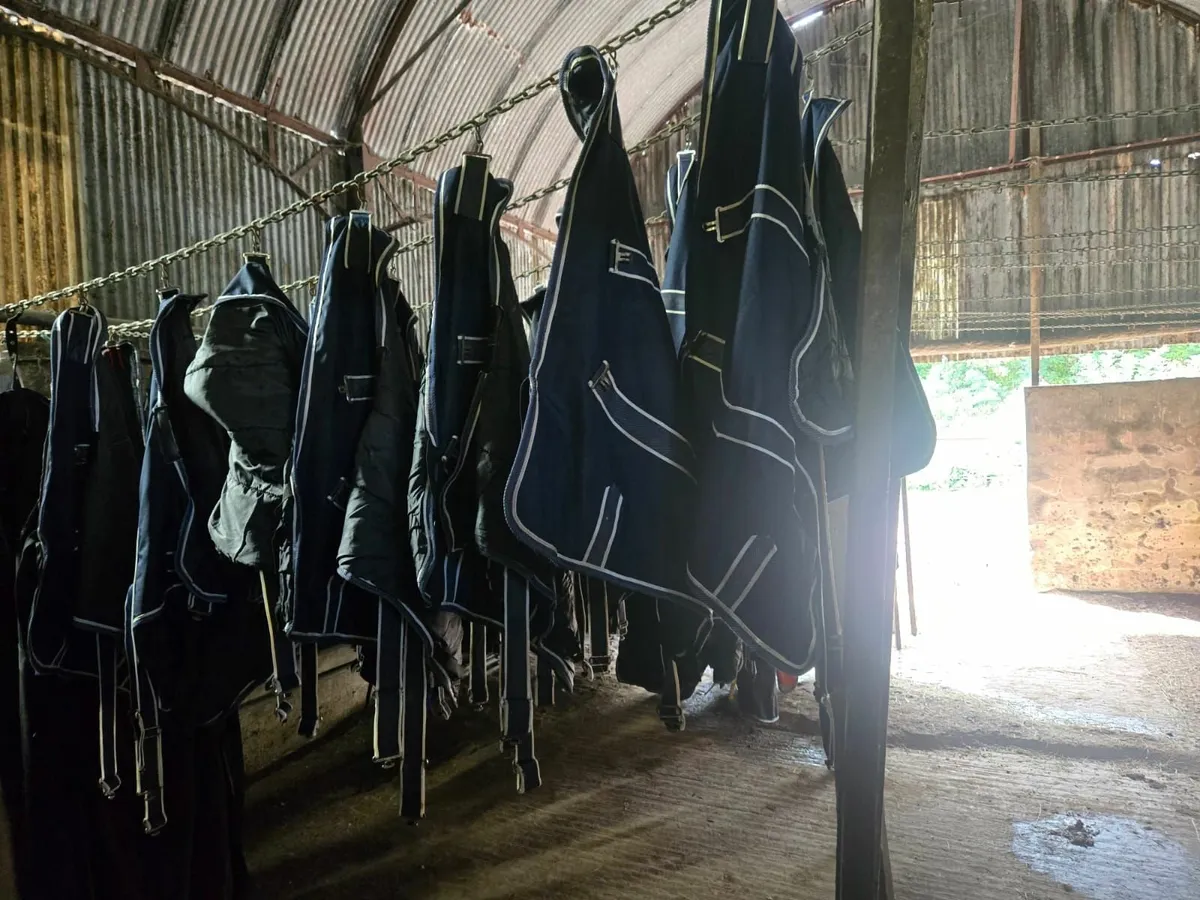 Calf Rugs Laundry - Image 3
