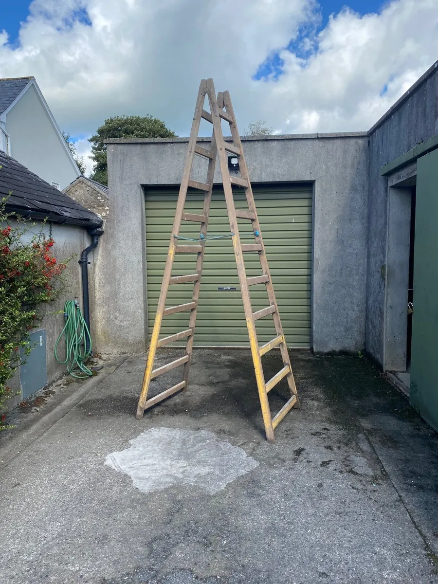 Ladder - Image 3