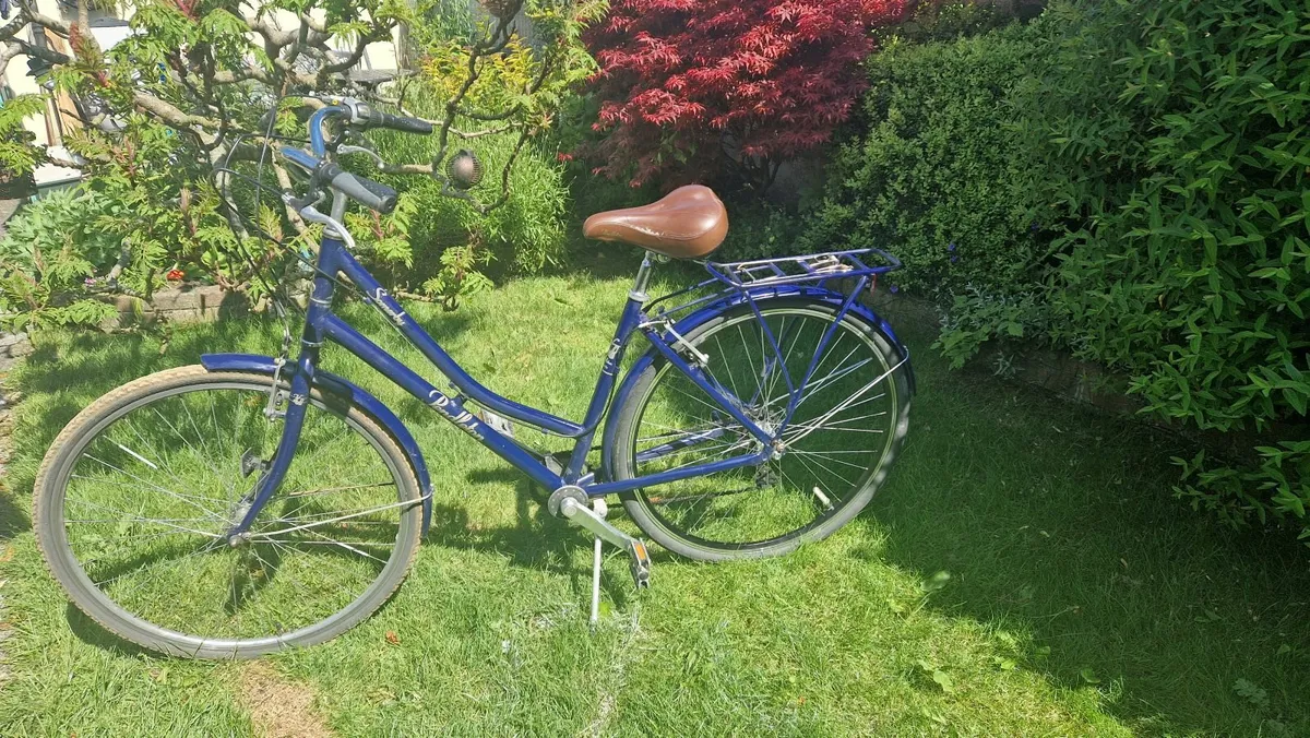 Female Bike - Image 2