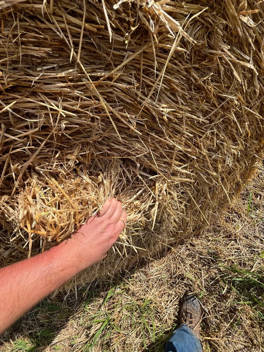Straw - Image 2