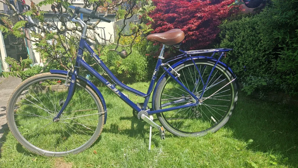 Female Bike - Image 4