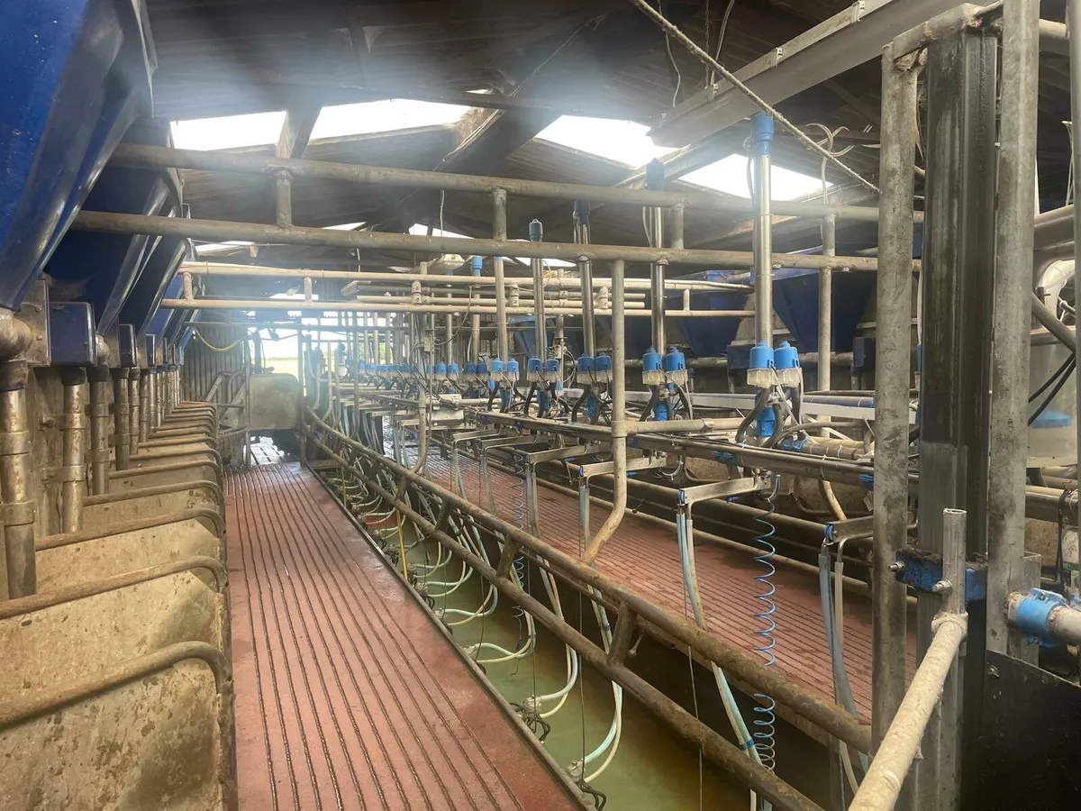 16 unit Dairymaster 2ft6 parlour - Image 1