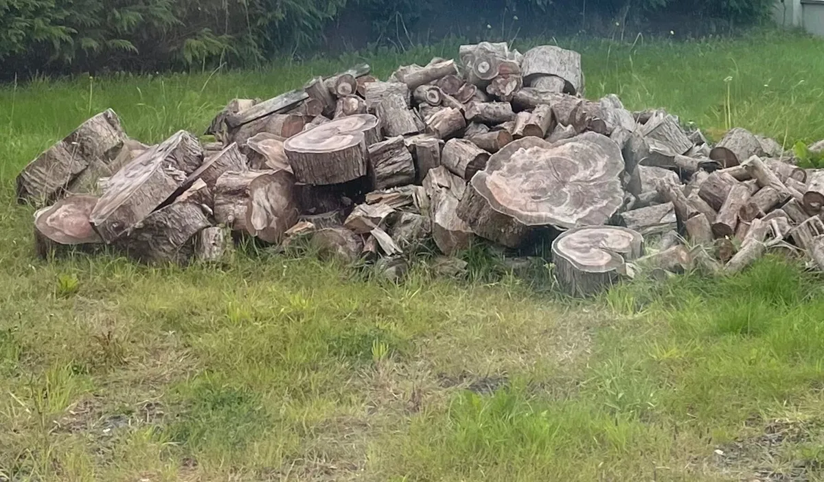 Fire wood (cypress)