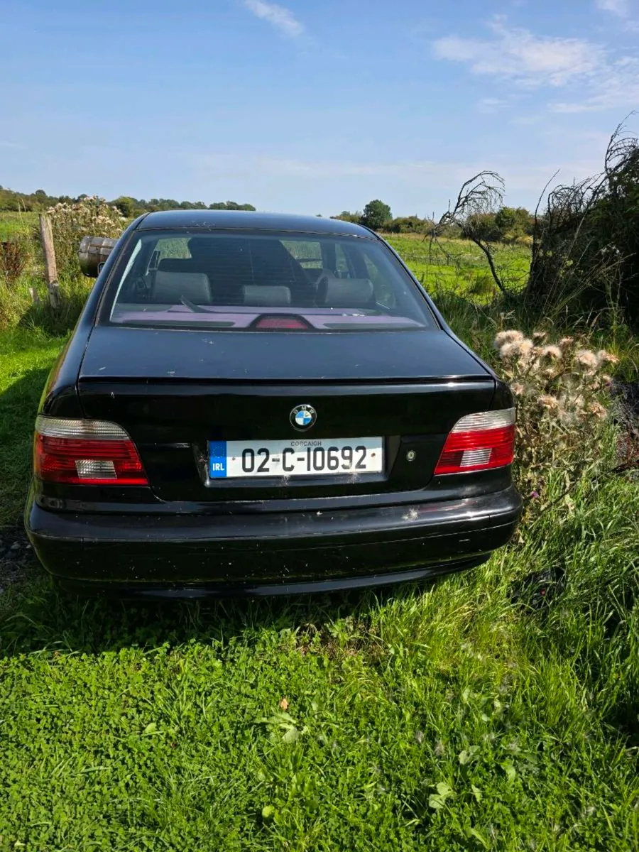 02 bmw 520 manual, may swap, cash is king - Image 3