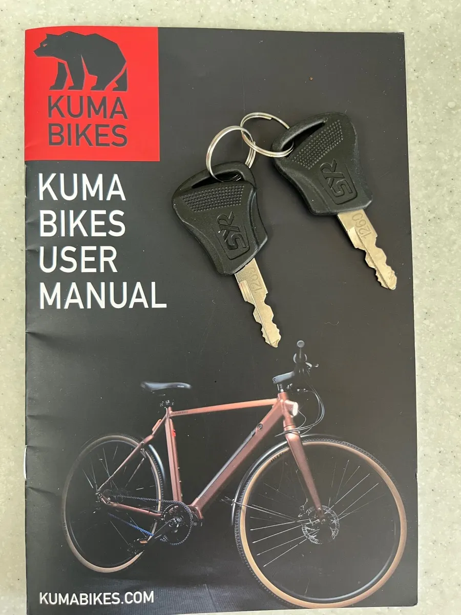 Ladies e bike peddle assist - Image 2