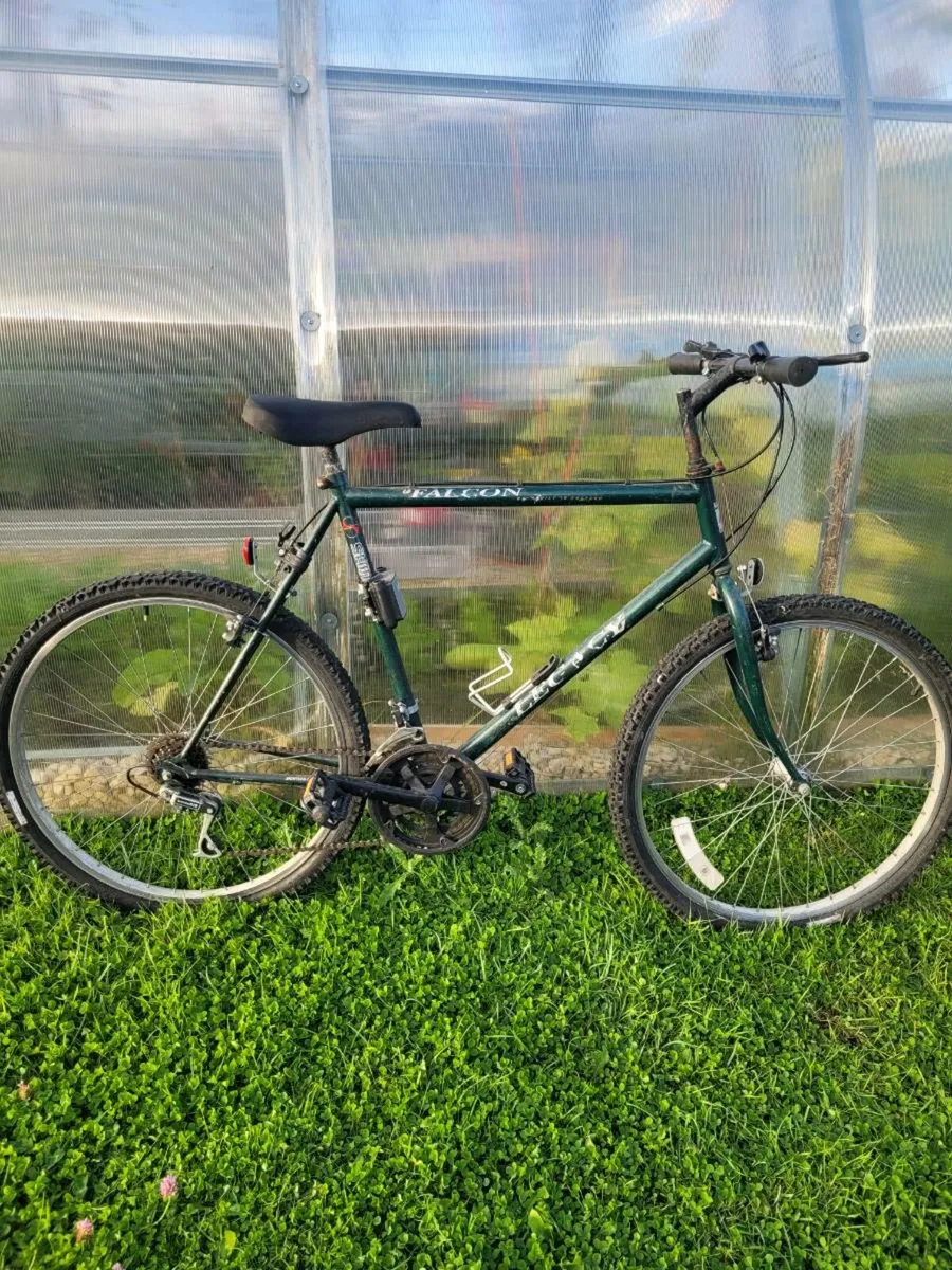 Mountain Bike - Image 1