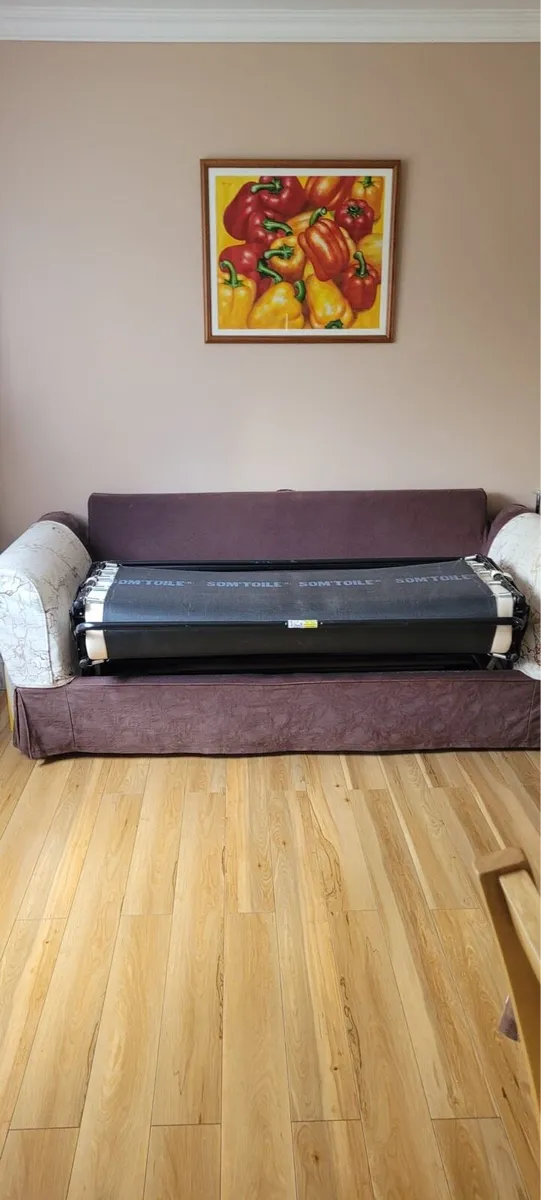 Pull out Couch - Image 3