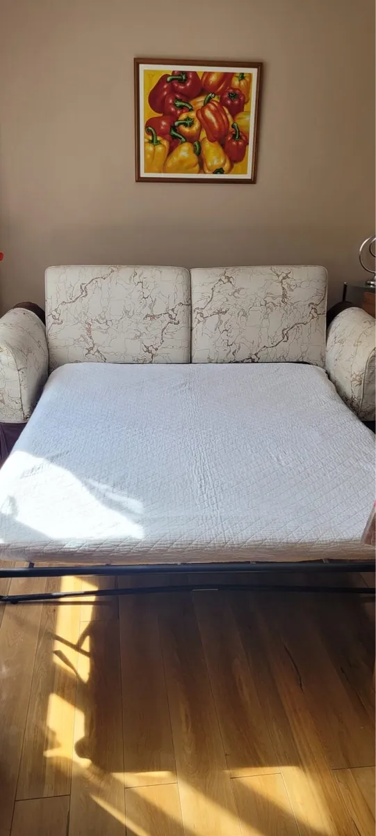 Pull out Couch - Image 4