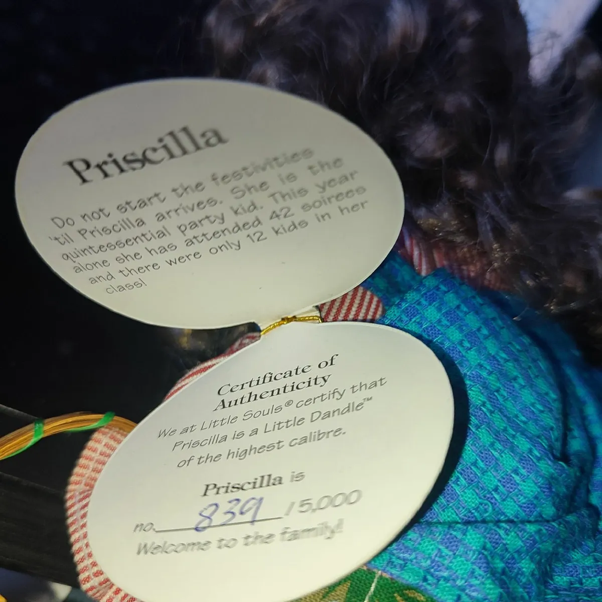 1999 Little Souls Priscilla Dandles 9" Cloth Doll - Image 4