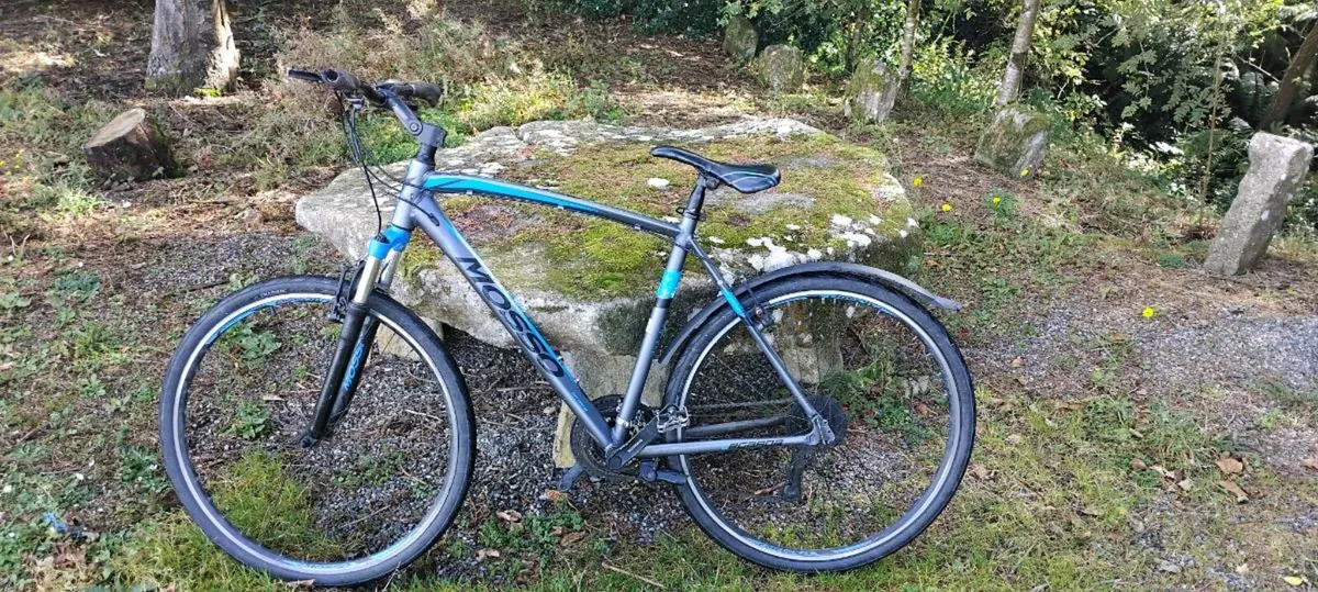 Mossa legarda xl adult bike - Image 2