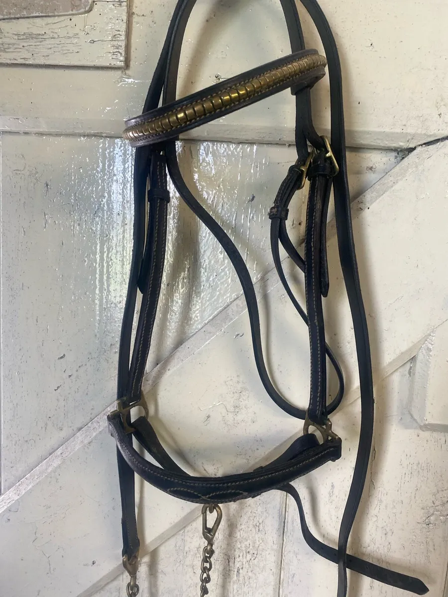 Leather halter and lead - Image 2