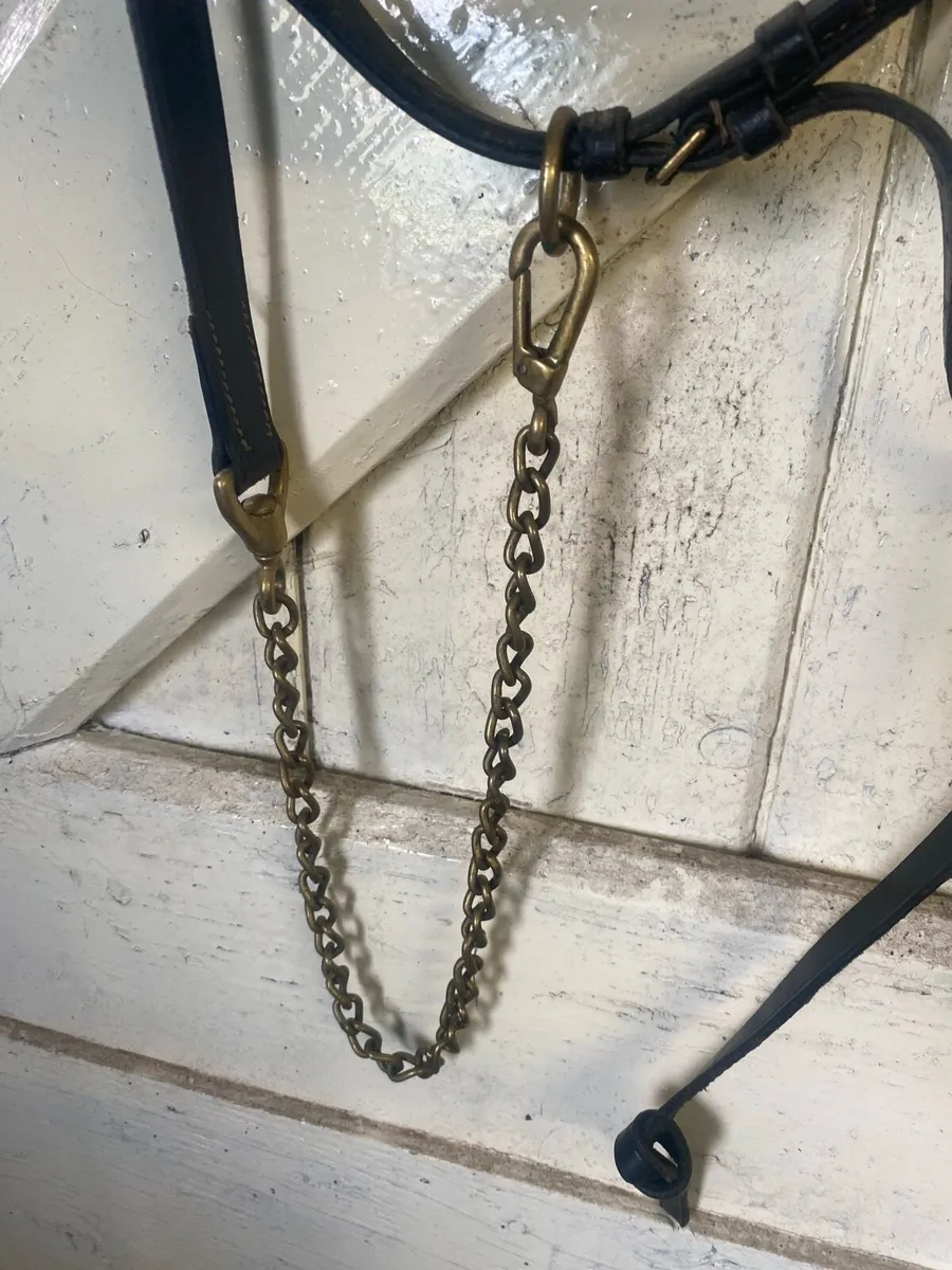 Leather halter and lead - Image 3