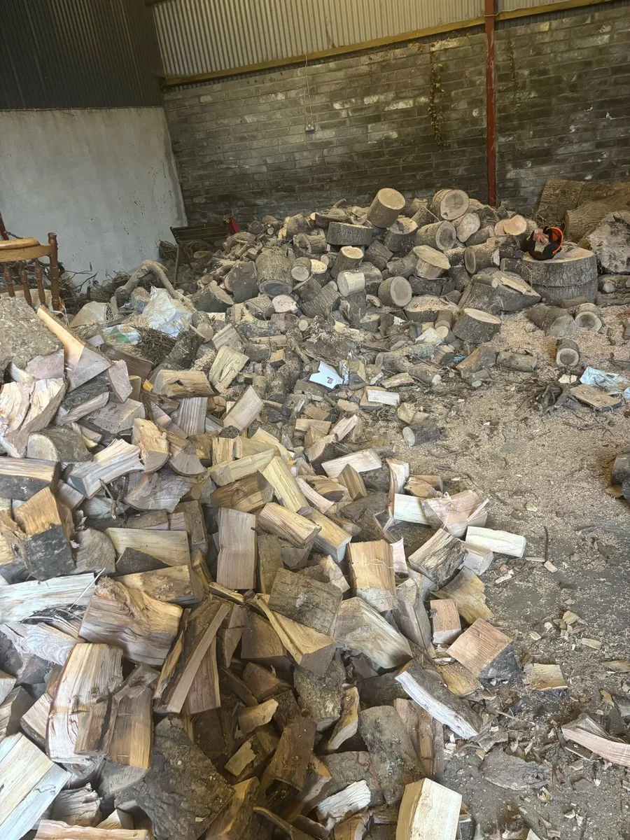 Ash timber (ready for burning ) - Image 1