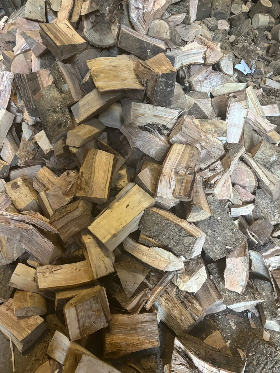 Ash timber (ready for burning ) - Image 4