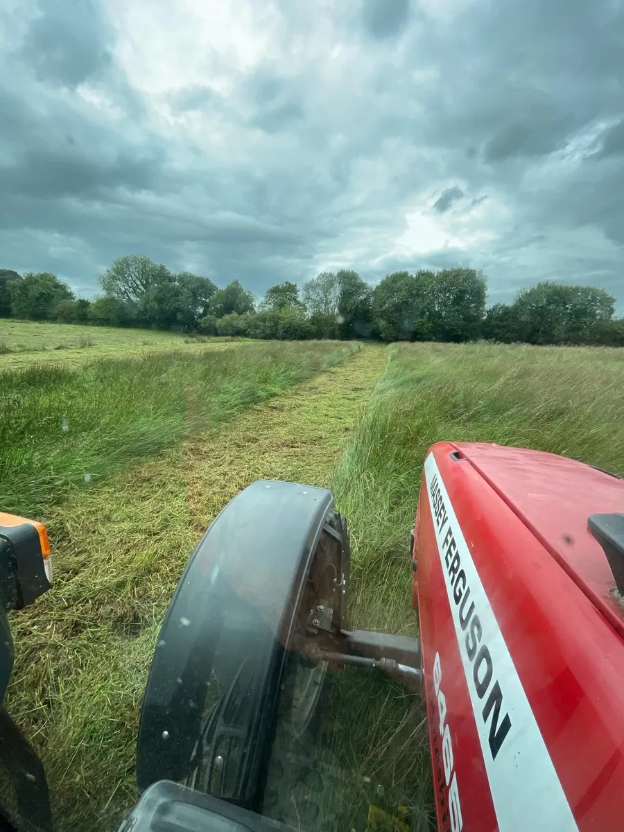 Mulching rushes - Image 2