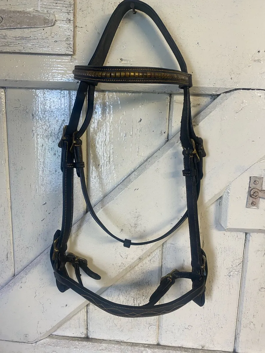 In hand bridle leather - Image 1