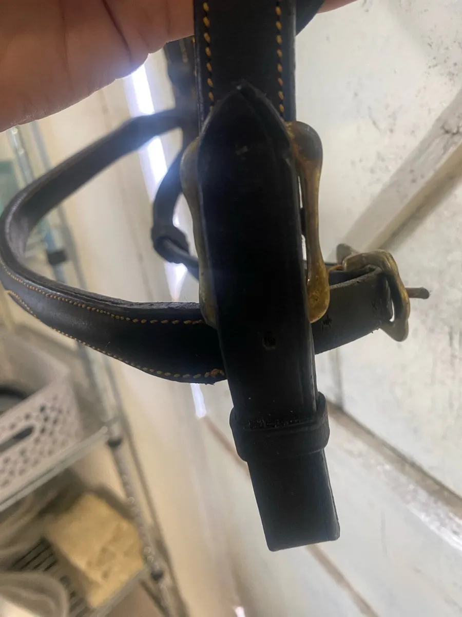 In hand bridle leather - Image 3