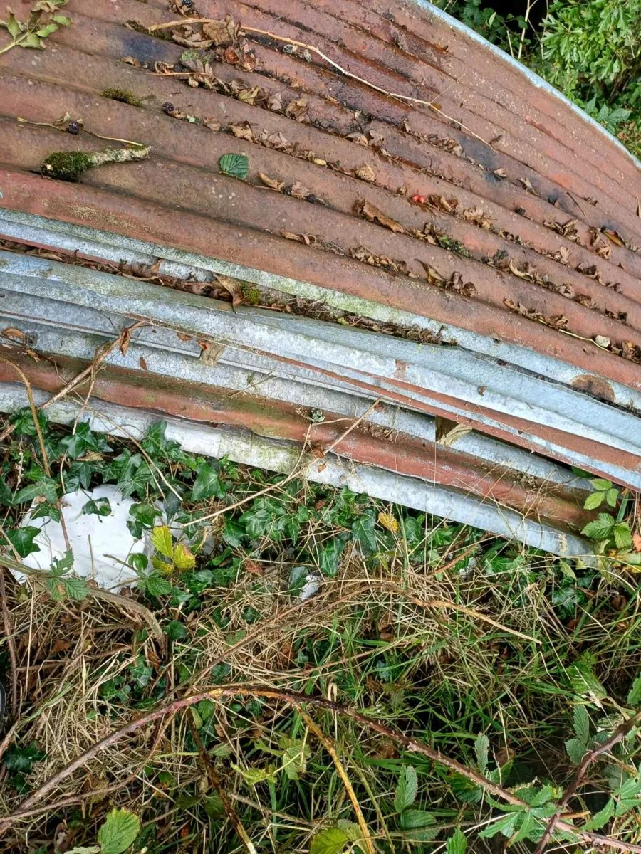 Curved sheeting - Image 1