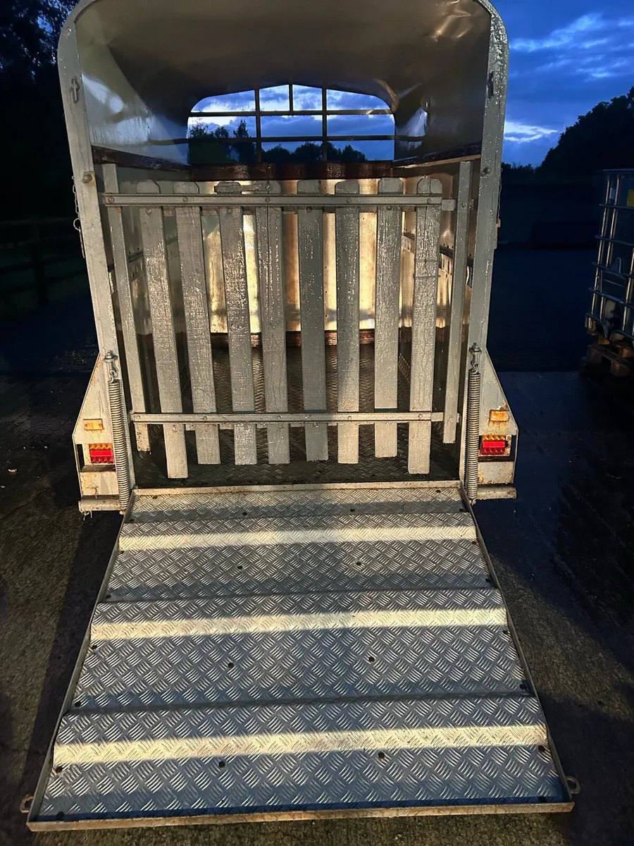 2 cow trailer - Image 3