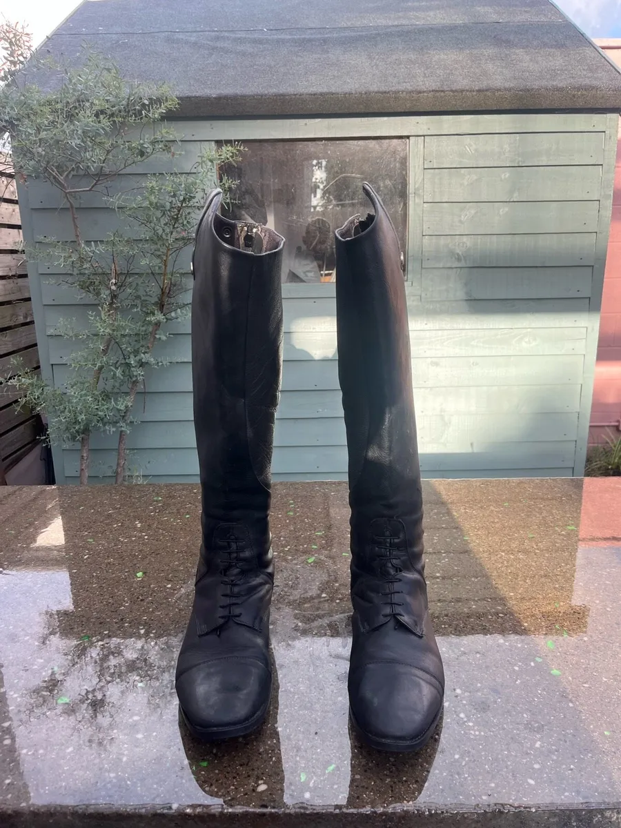 Mark Todd horse riding boots - Image 1