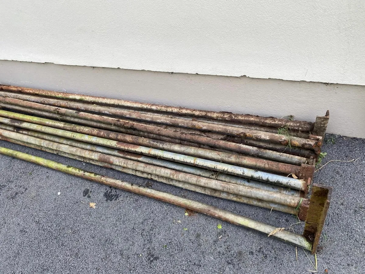 Steel pipes - Image 2