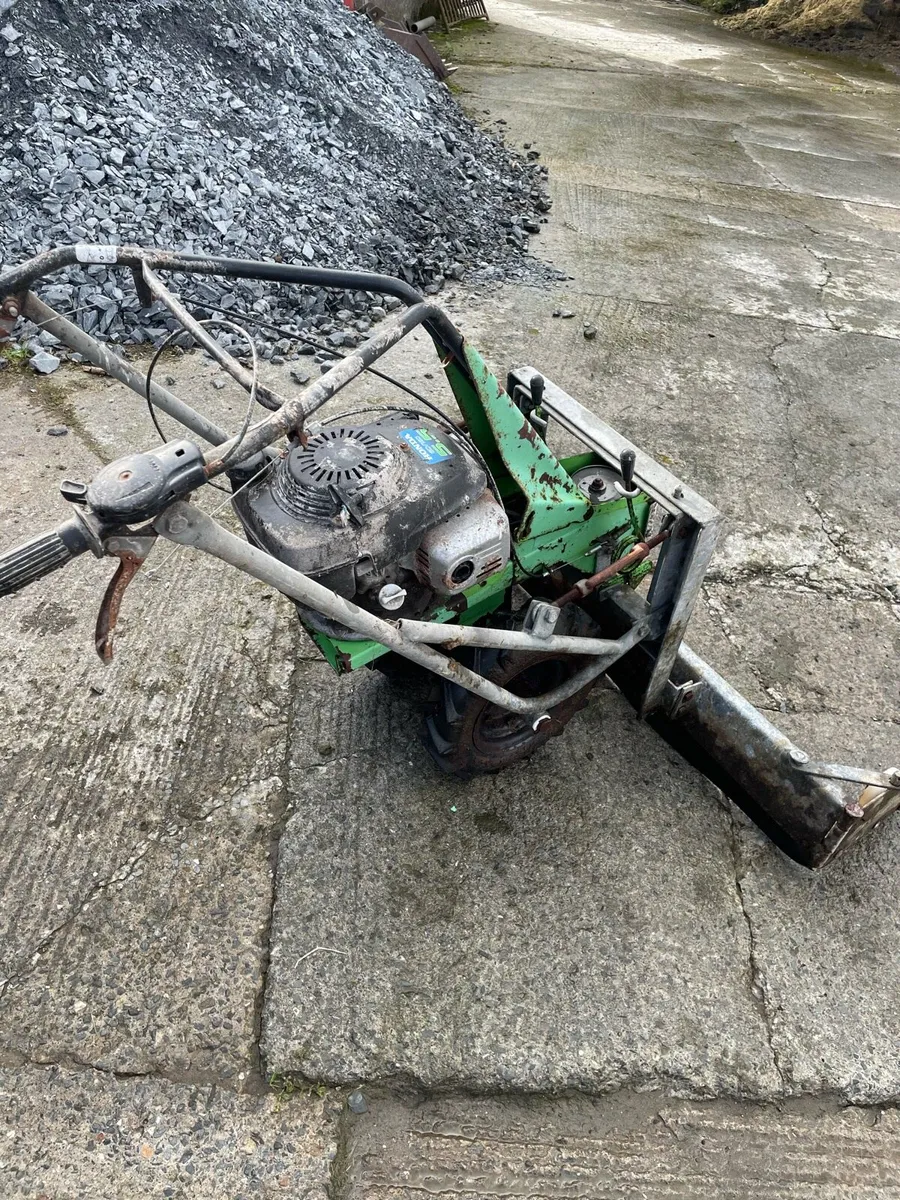Self propelled yard scrapper and Ferguson potato - Image 3