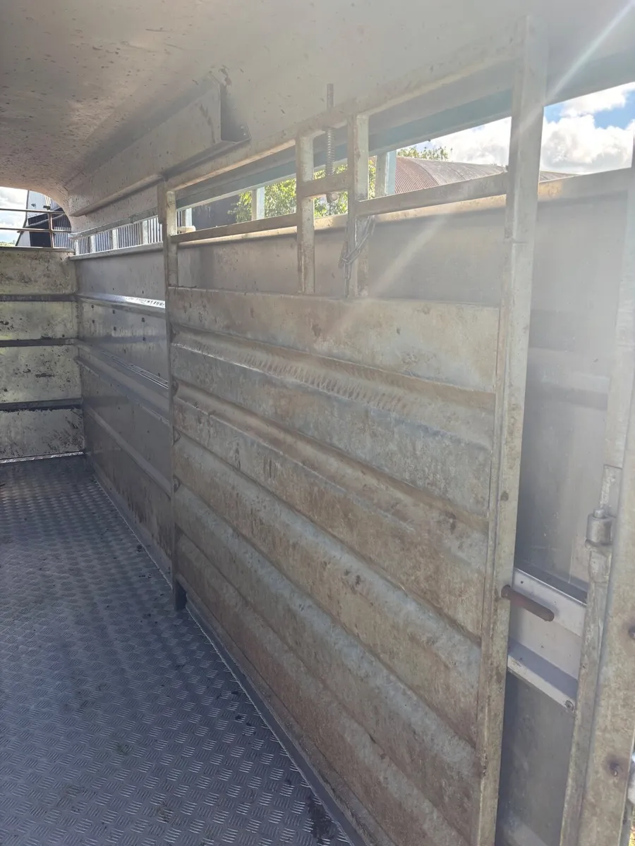 Cattle trailer - Image 2