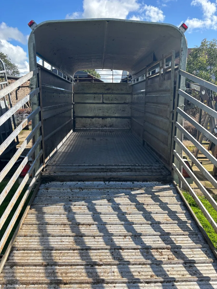 Cattle trailer - Image 3