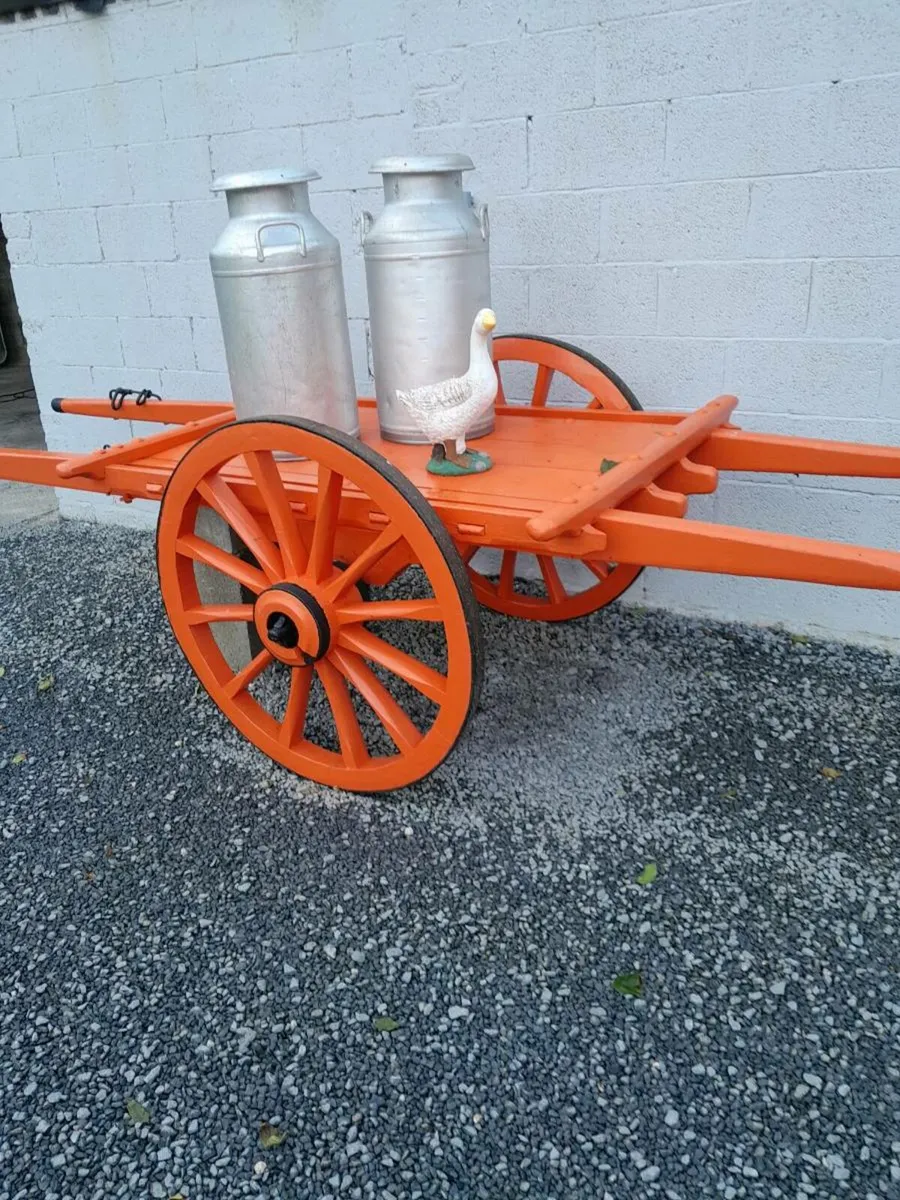Donkey car - Image 1