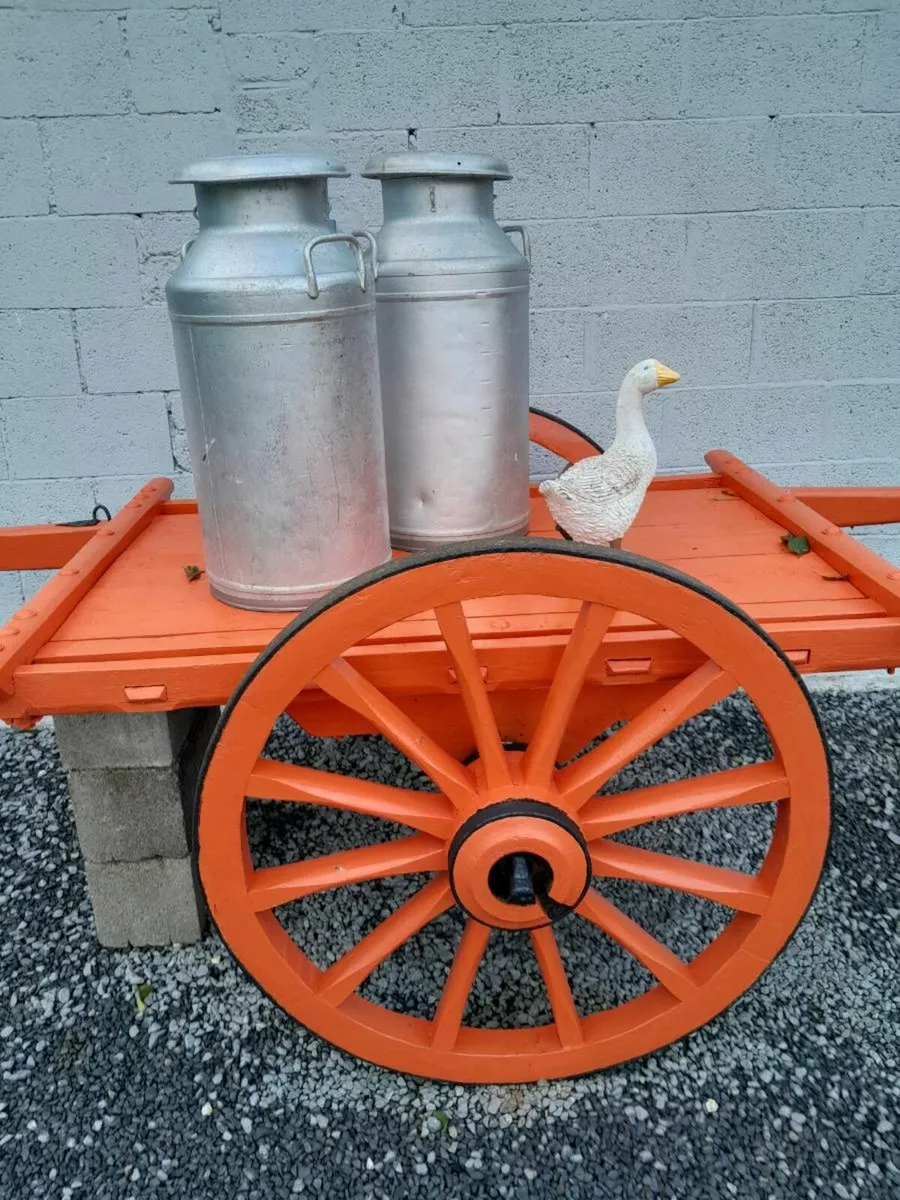 Donkey car - Image 2