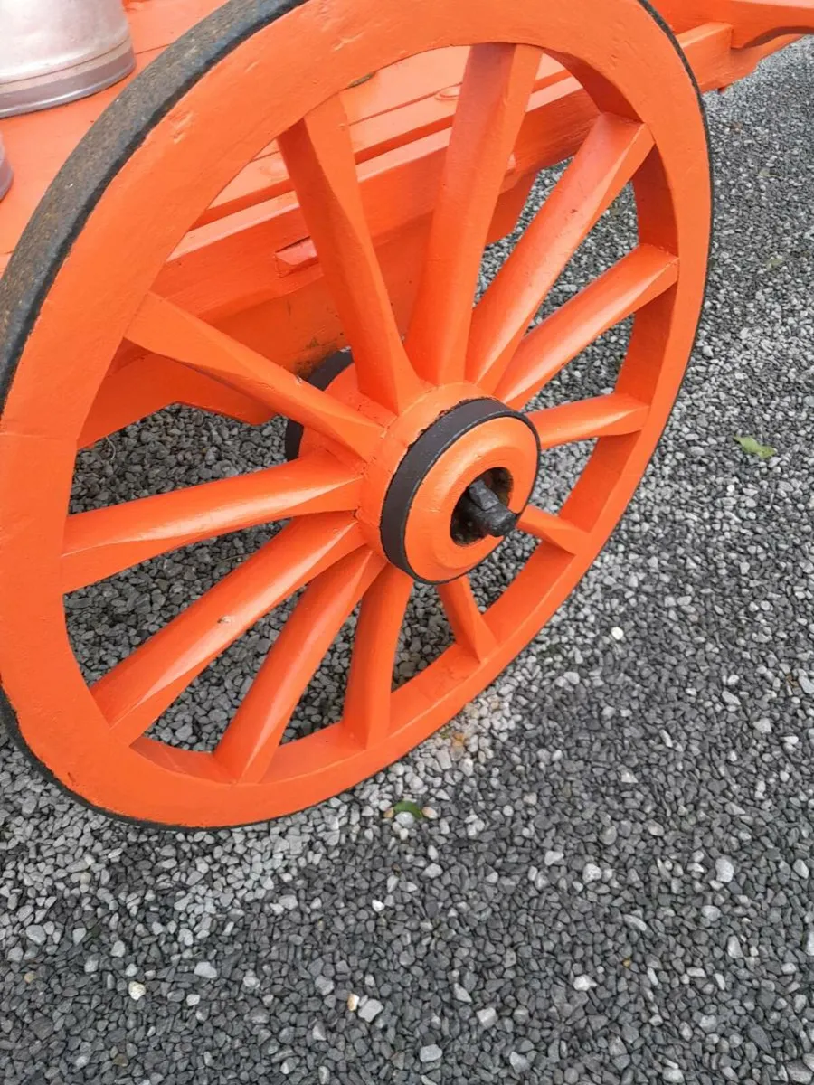 Donkey car - Image 3