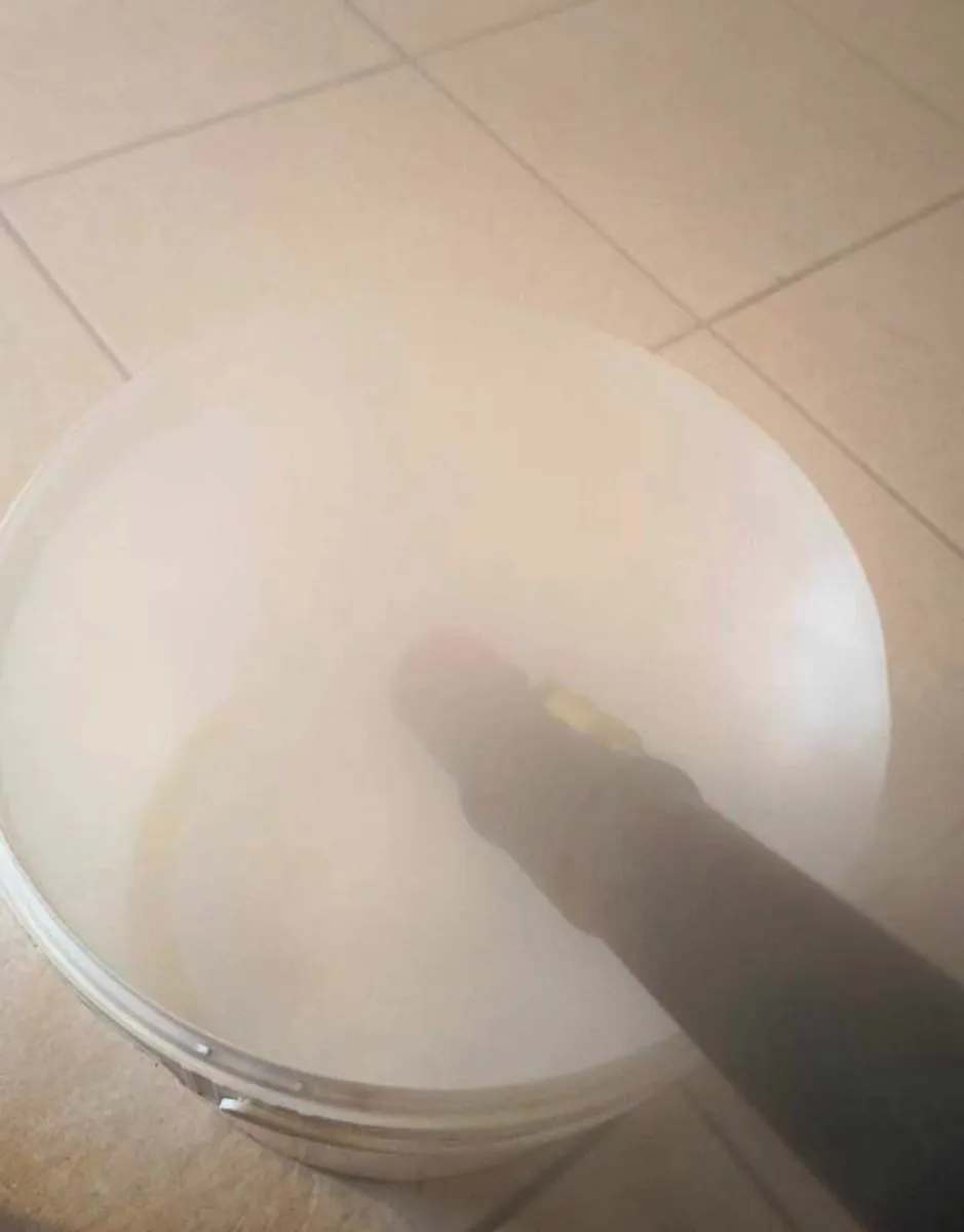 Steam Floor cleaning Karcher SC 3. Delivery - Image 4