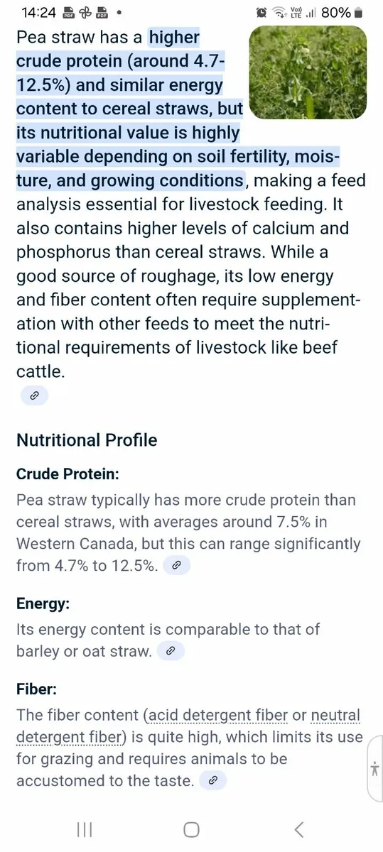Straw - Image 2