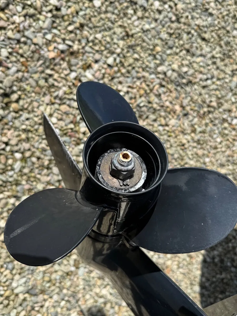 5M Brig Falcon Rib - Image 2