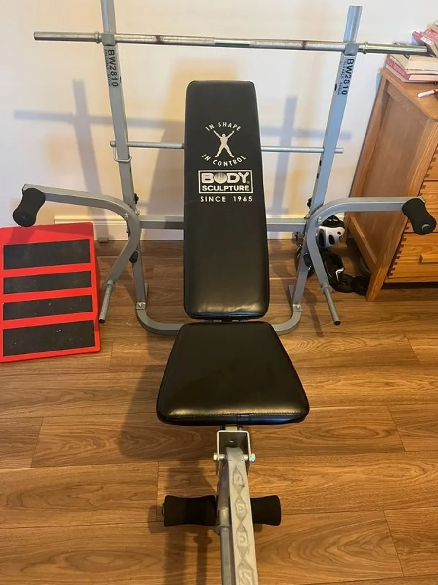 Weight Bench Vody Sculpture. FOLDS AWAY EASILY - Image 1