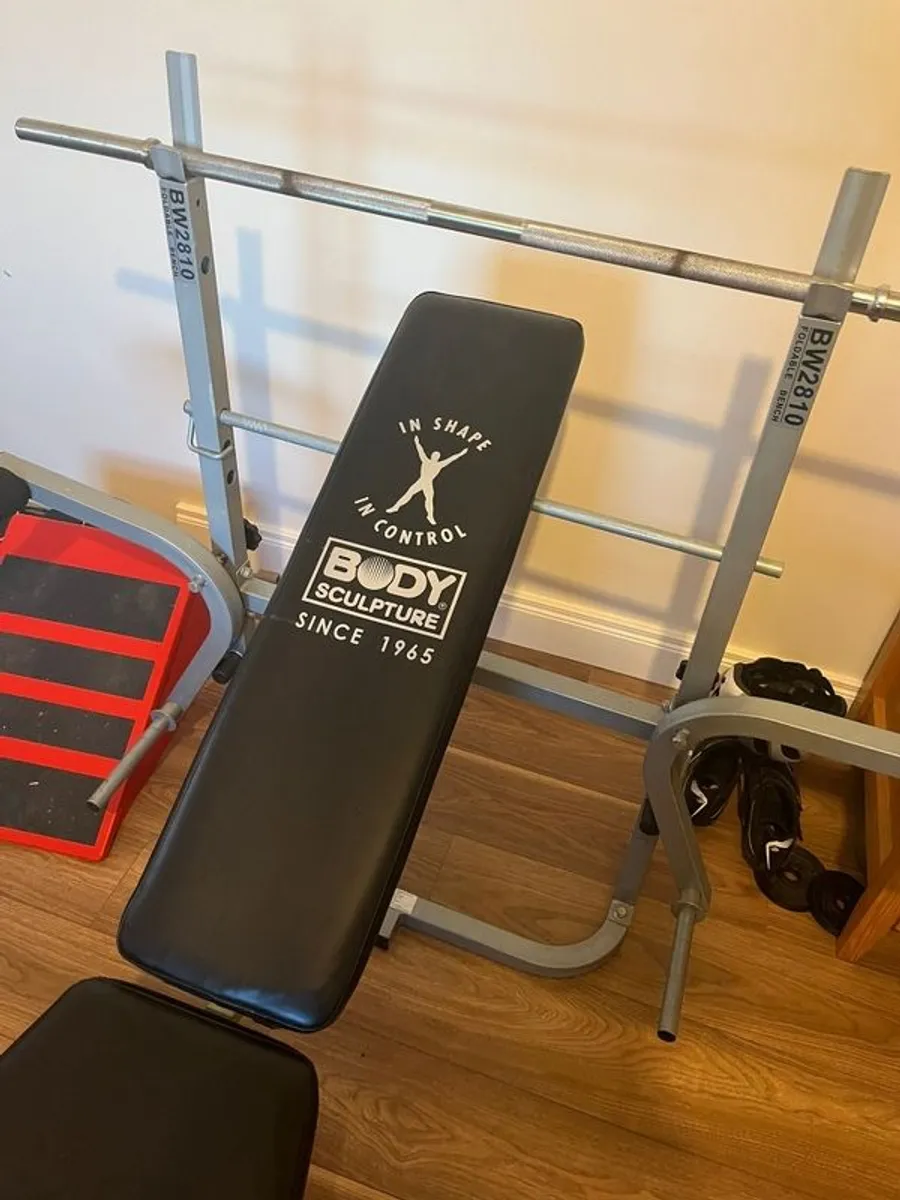 Weight Bench Vody Sculpture. FOLDS AWAY EASILY - Image 2