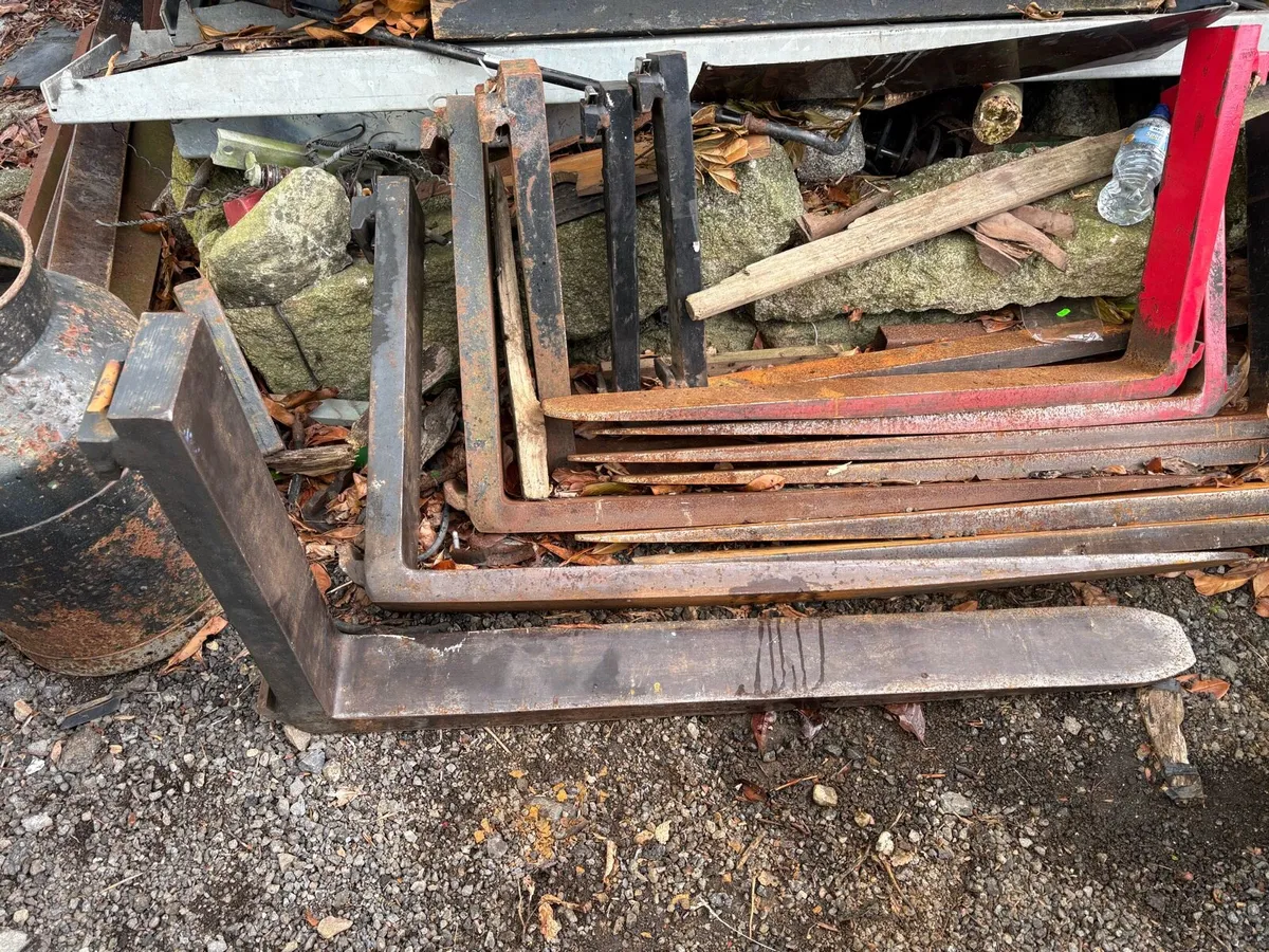Pallet forks - Image 1