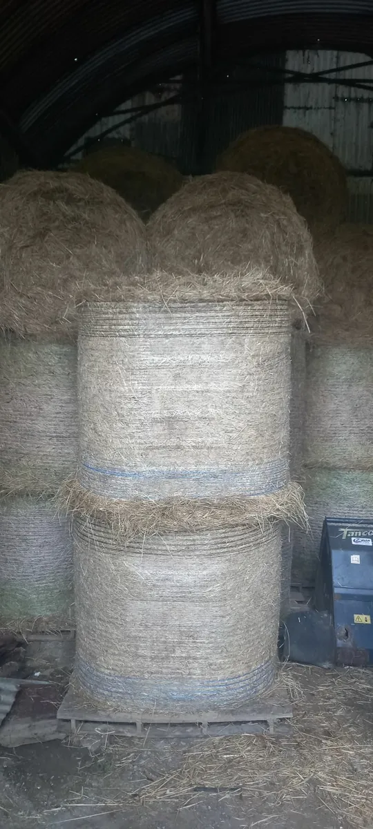 Hay