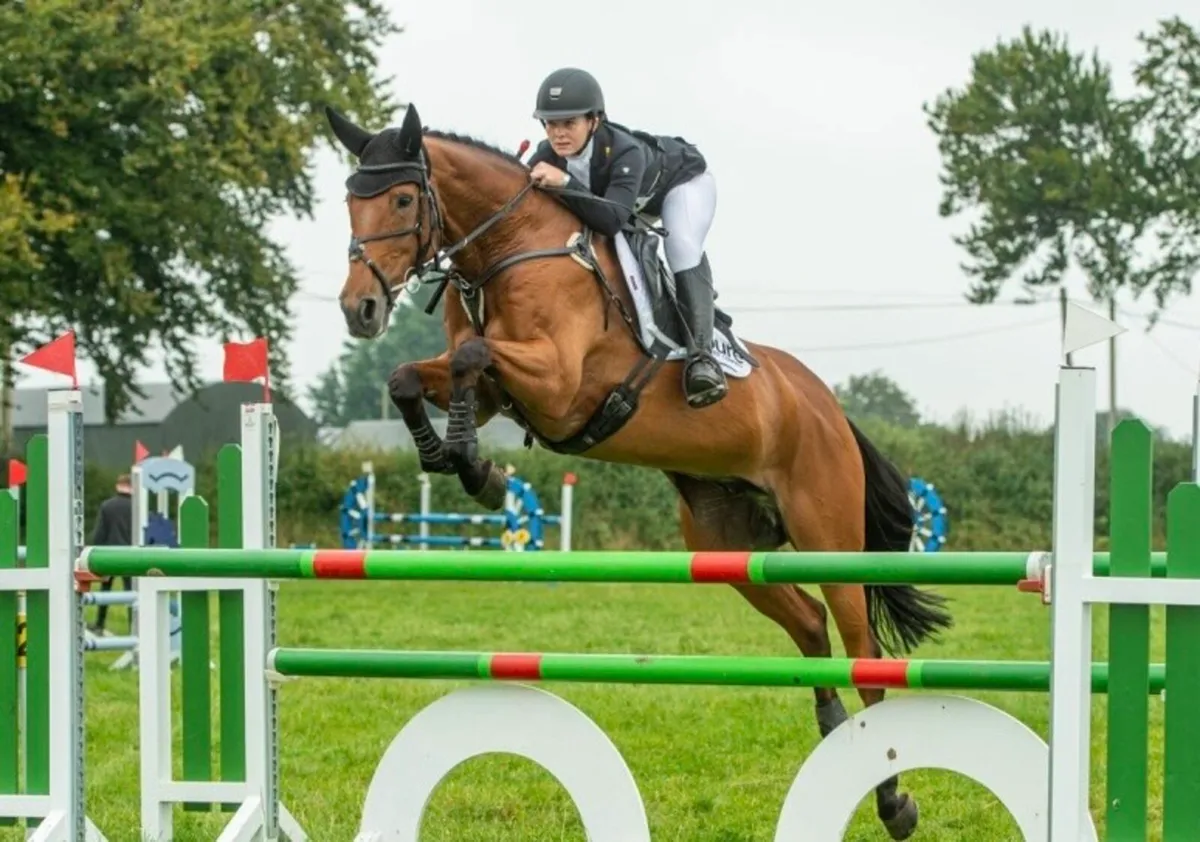 NATIONAL EI 110j CHAMPION 2024 - 2* EVENT HORSE - Image 1